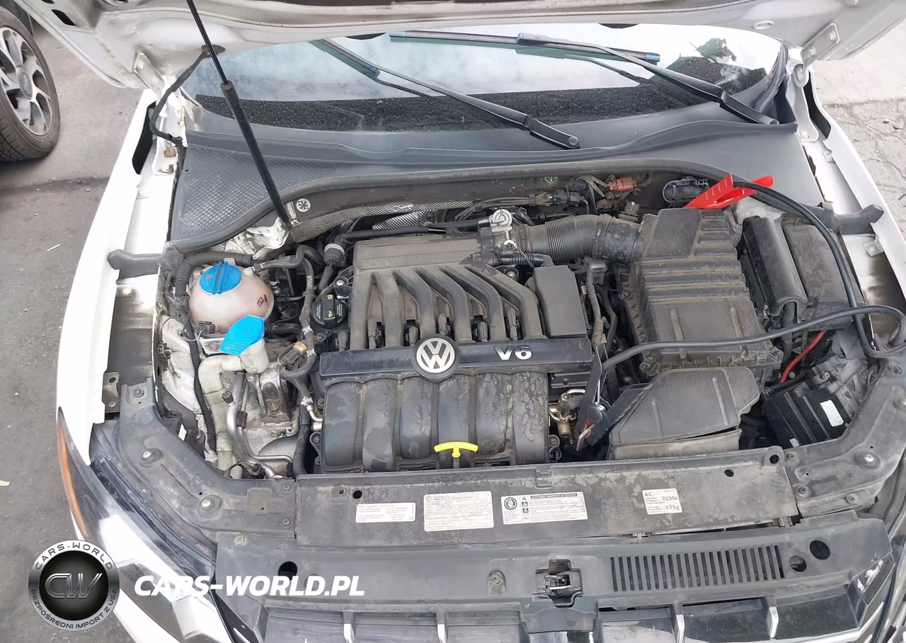 2014 Volkswagen Passat 3.6L V6 Sel Premium VIN:1VWCM7A31EC065025 - 10