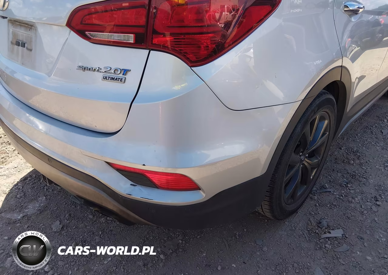 2017 Hyundai Santa Fe Sport 2.0T Ultimate VIN:5XYZW4LA6HG463882 - 6