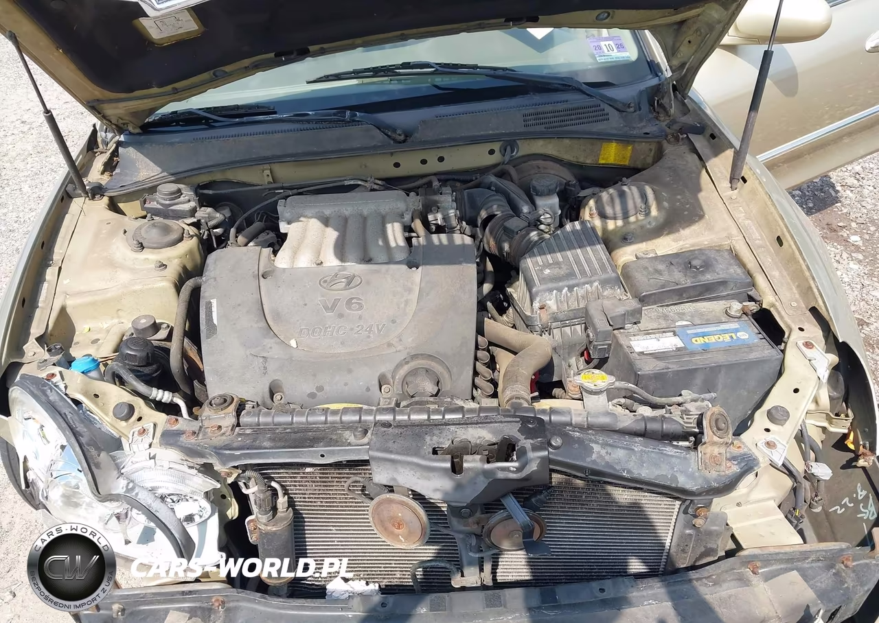 2003 Hyundai Sonata Gls-Lx VIN:KMHWF35H93A737846 - 10