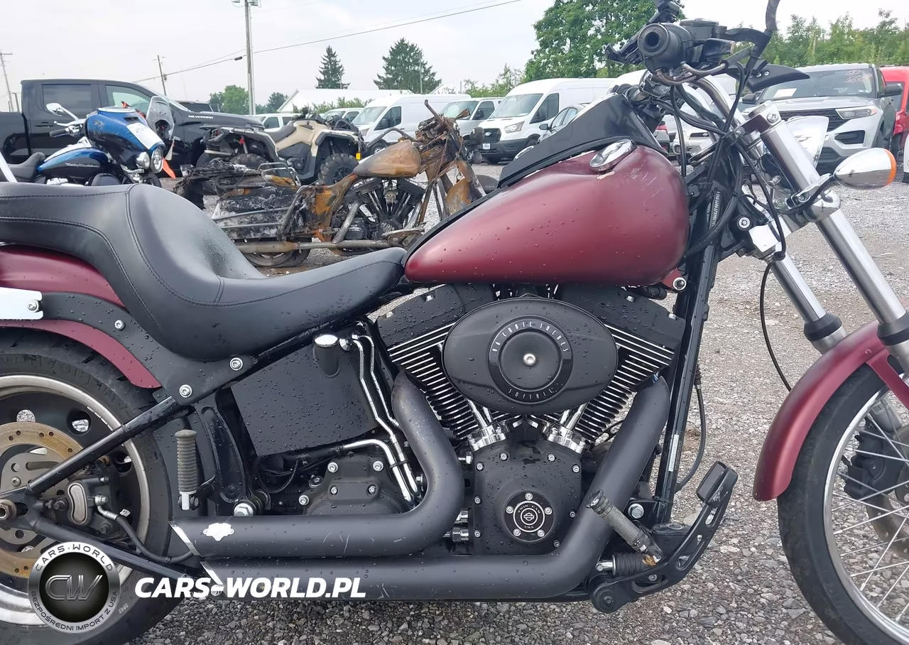 2008 Harley-Davidson Fxstb VIN:1HD1JA5178Y029659 - 8