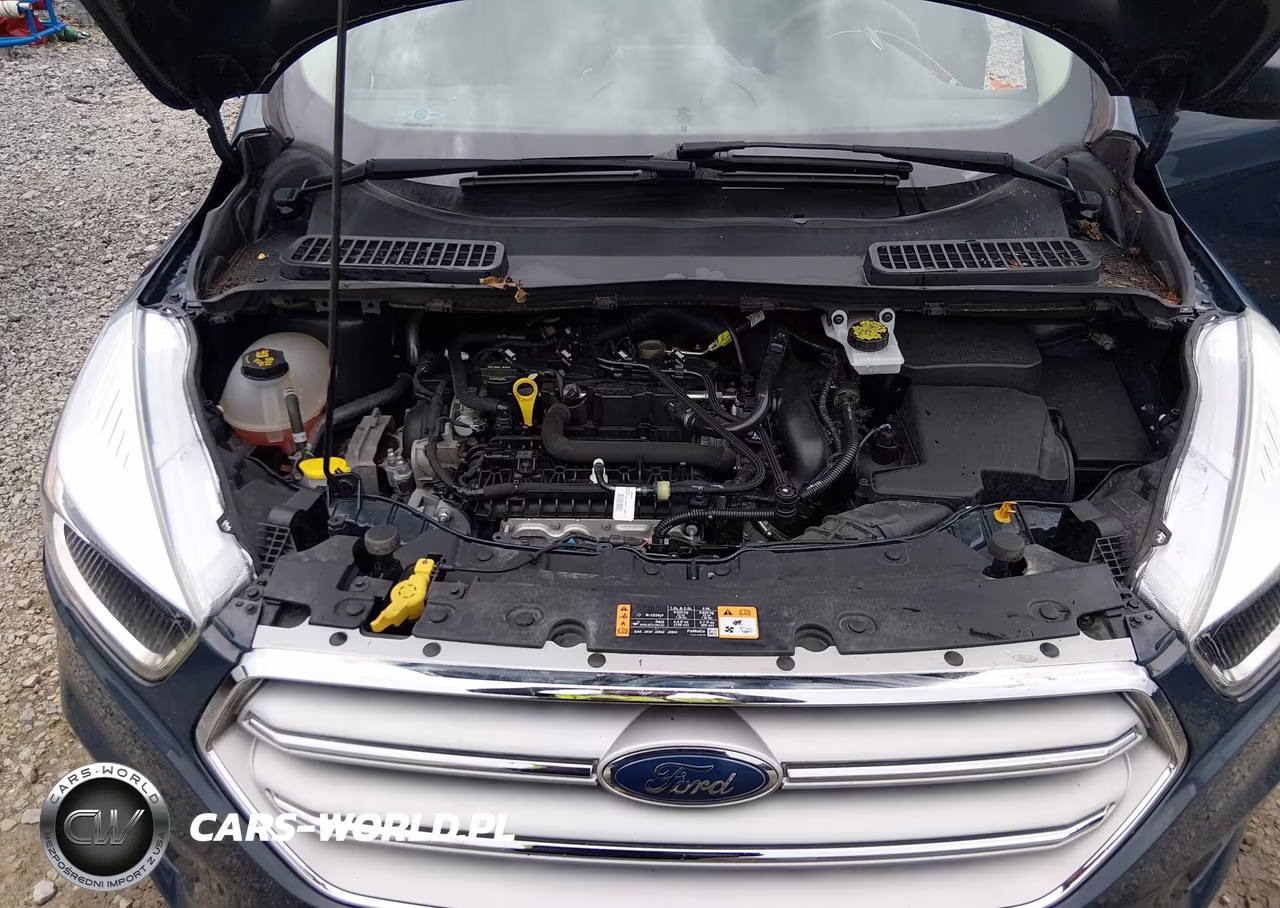 2019 Ford Escape Se VIN:1FMCU9GD9KUA69436 - 10