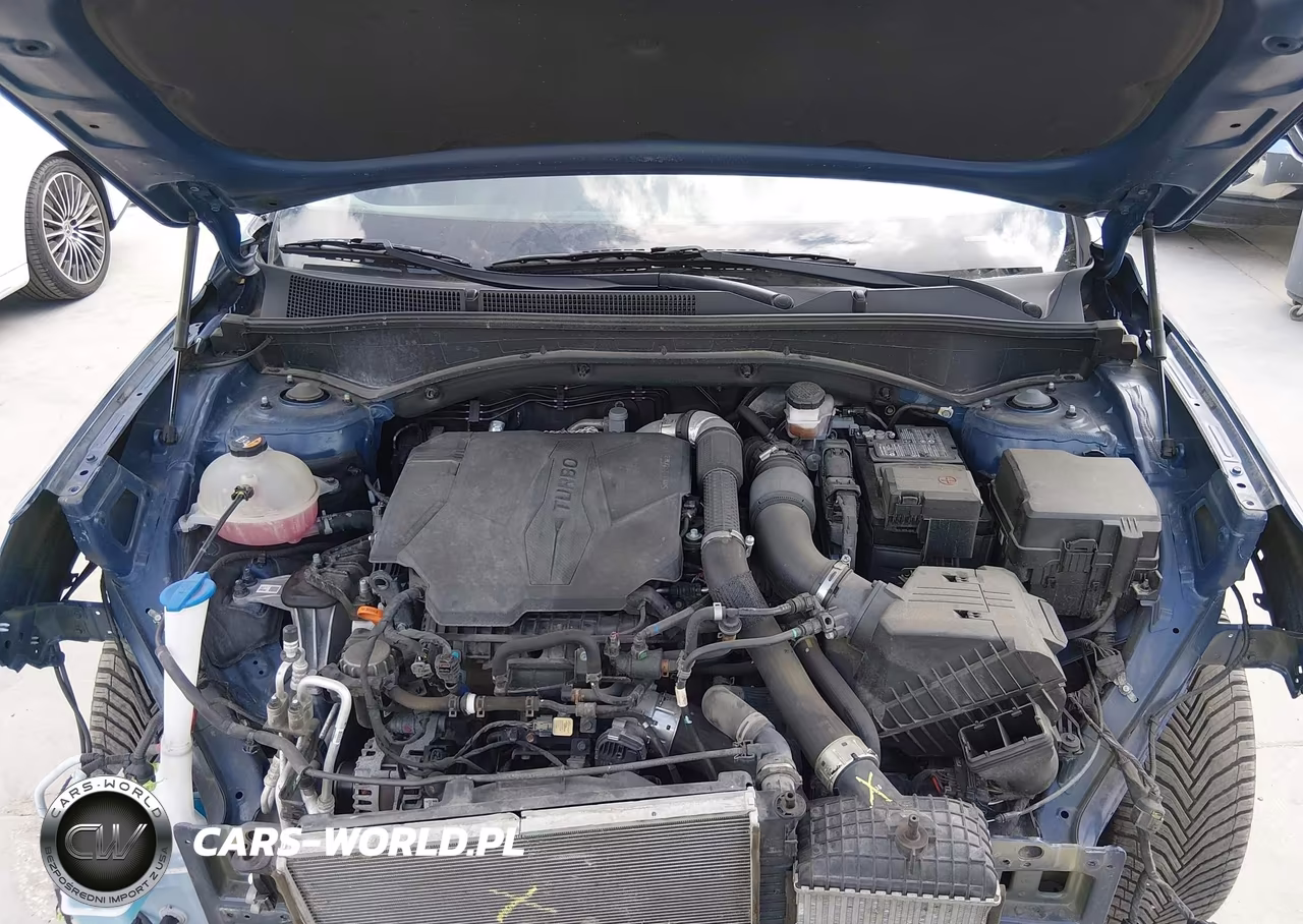 2023 Hyundai Santa Fe Limited VIN:5NMS4DAL2PH515167 - 10