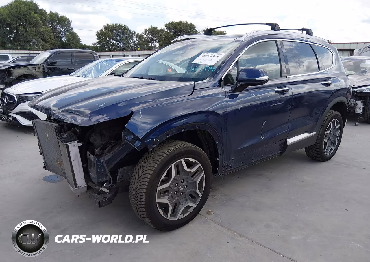 2023 Hyundai Santa Fe Limited VIN:5NMS4DAL2PH515167 - 2