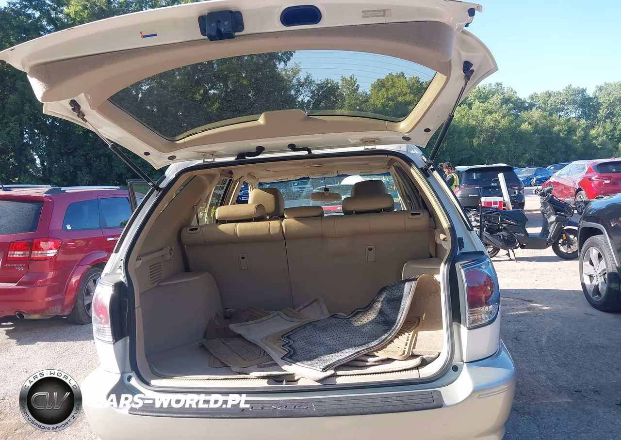 2003 Lexus Rx 300 VIN:JTJHF10U230314809 - 17