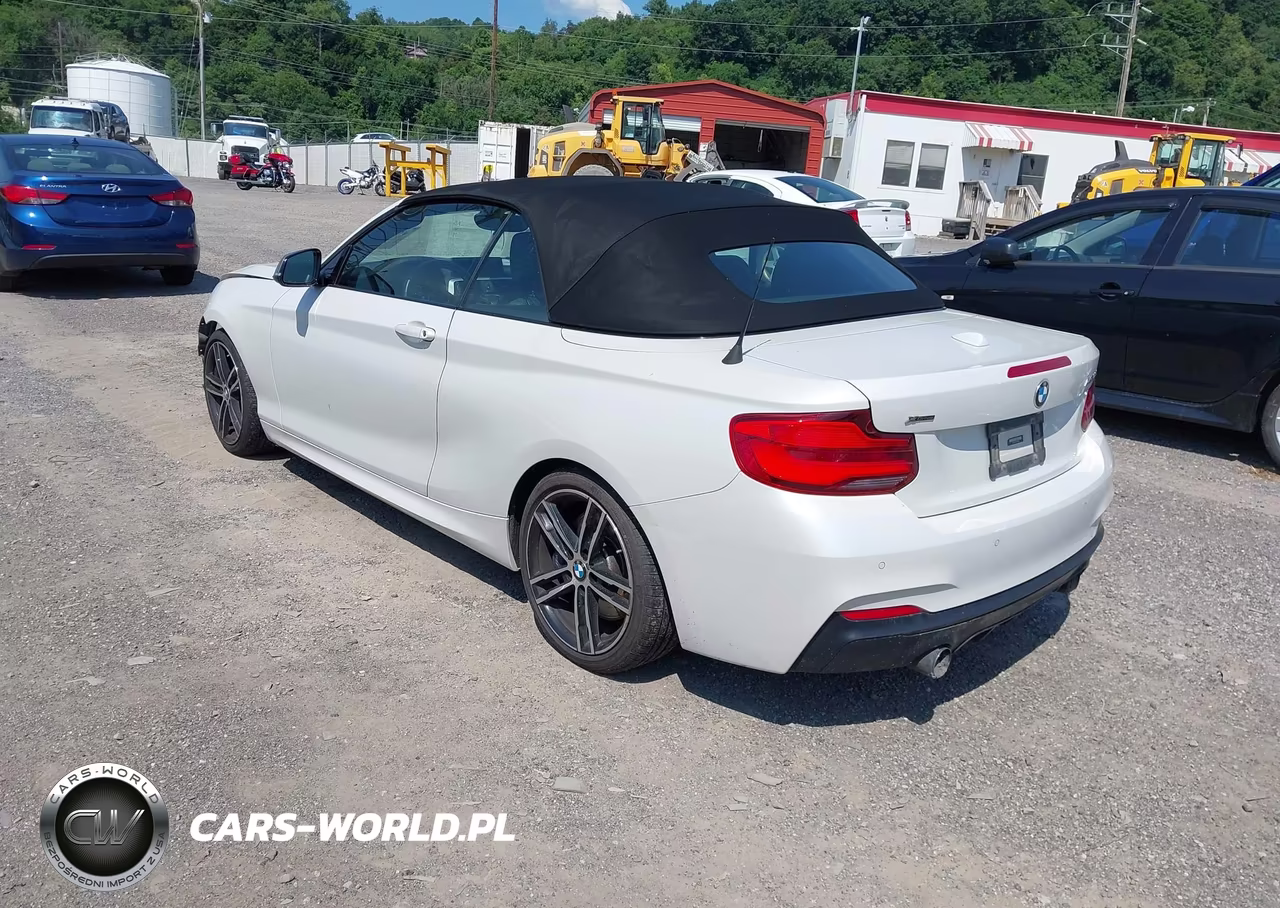 2019 BMW M240I xDrive VIN:WBA2N3C51K7D61590 - 3