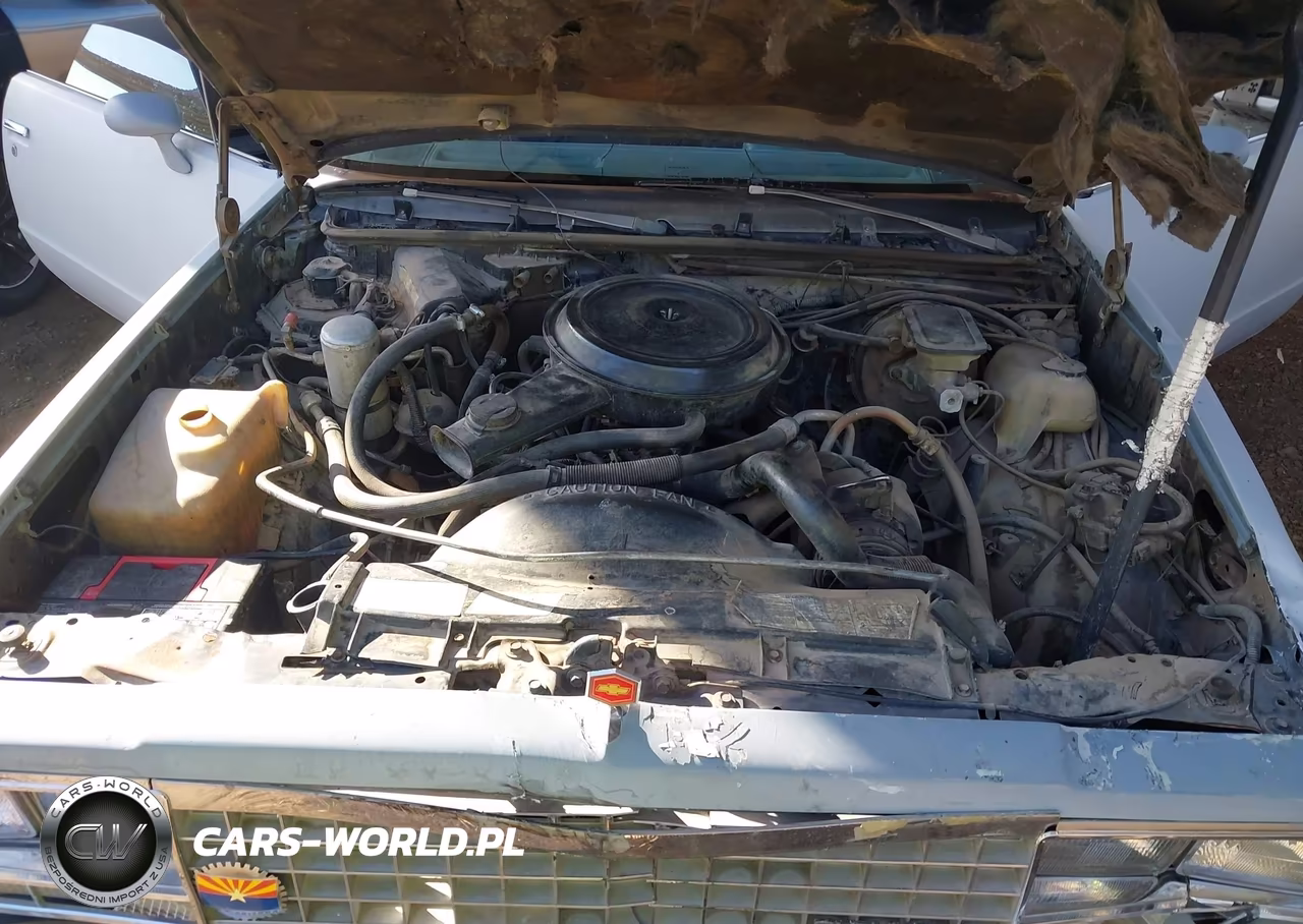 1983 Chevrolet El Camino VIN:1GCCW80H4DR132101 - 10