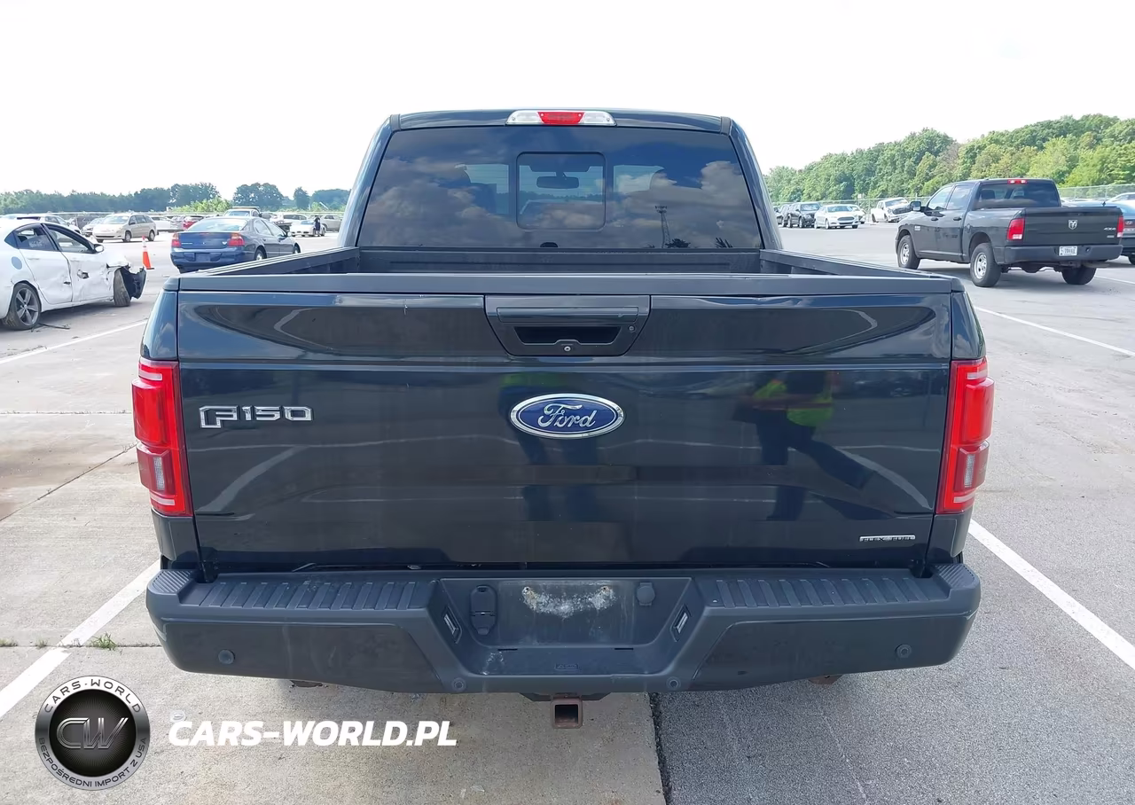2015 Ford F-150 Lariat VIN:1FTEW1EFXFFA05297 - 16