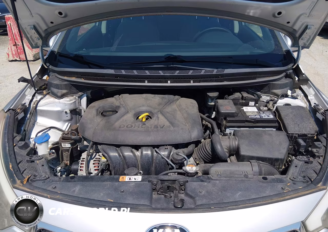 2015 Kia Forte Lx VIN:KNAFK4A68F5431497 - 10