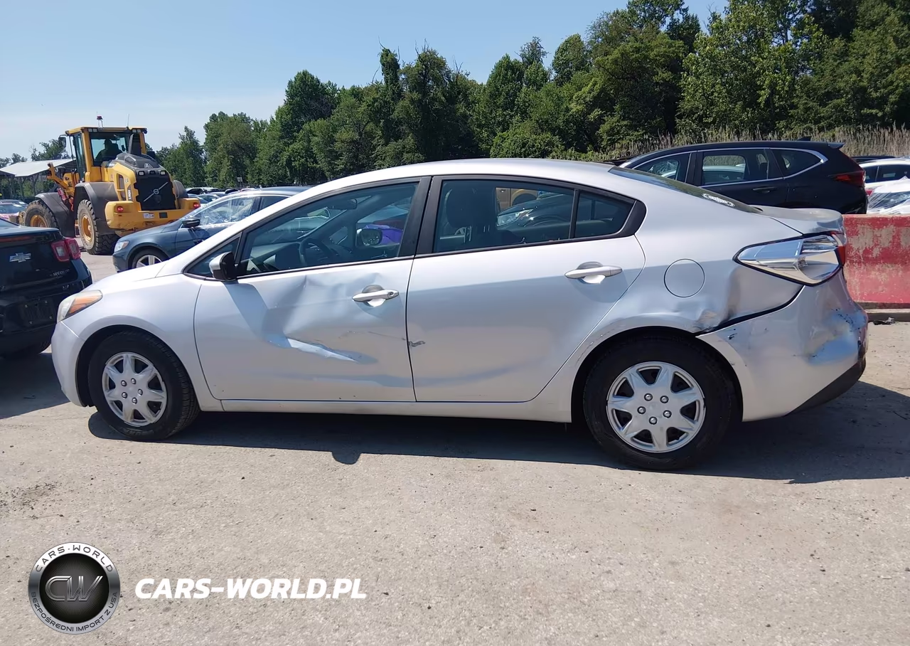 2015 Kia Forte Lx VIN:KNAFK4A68F5431497 - 13