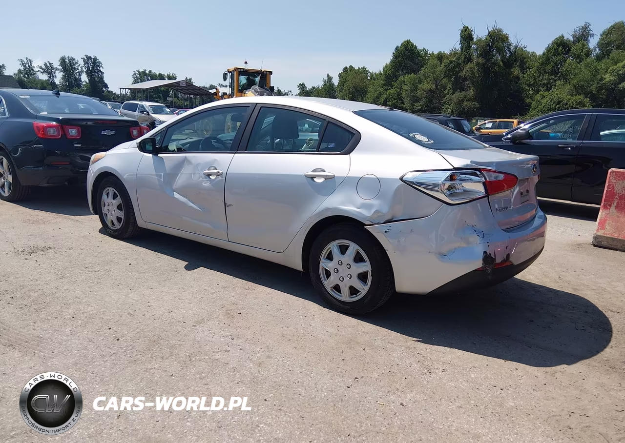 2015 Kia Forte Lx VIN:KNAFK4A68F5431497 - 3