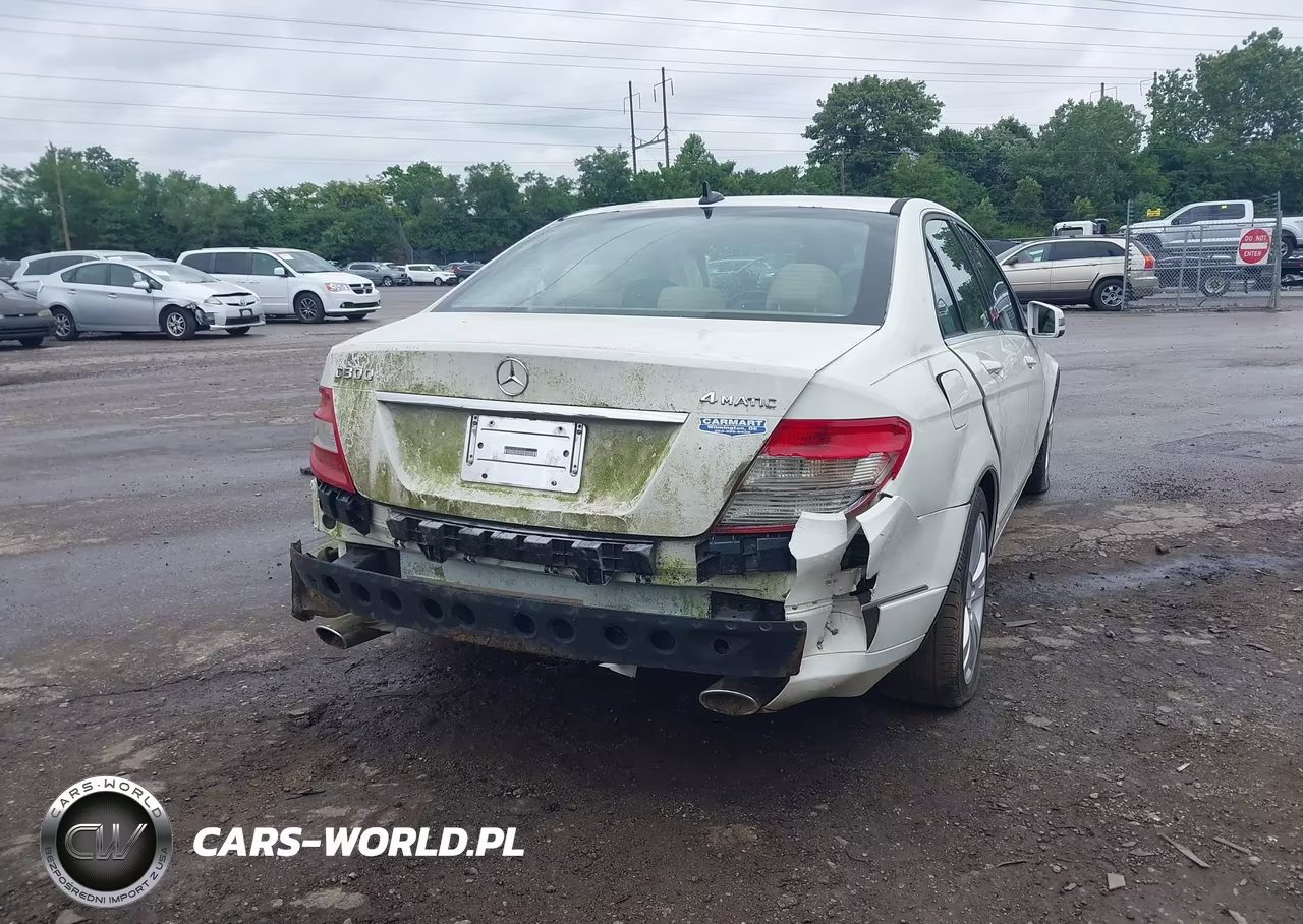 2010 Mercedes-Benz C 300 Luxury 4Matic VIN:WDDGF8BB9AF458263 - 12