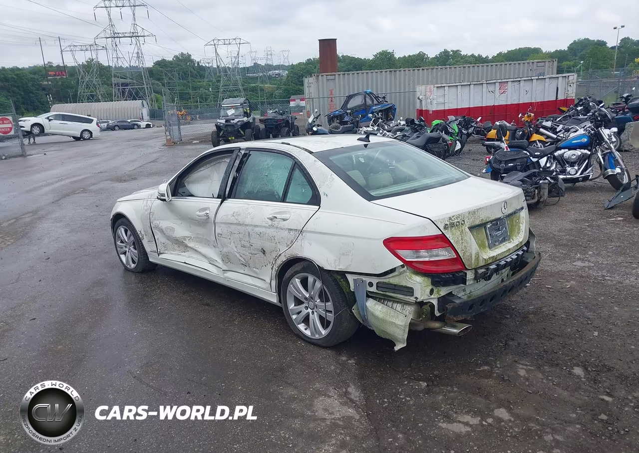 2010 Mercedes-Benz C 300 Luxury 4Matic VIN:WDDGF8BB9AF458263 - 3