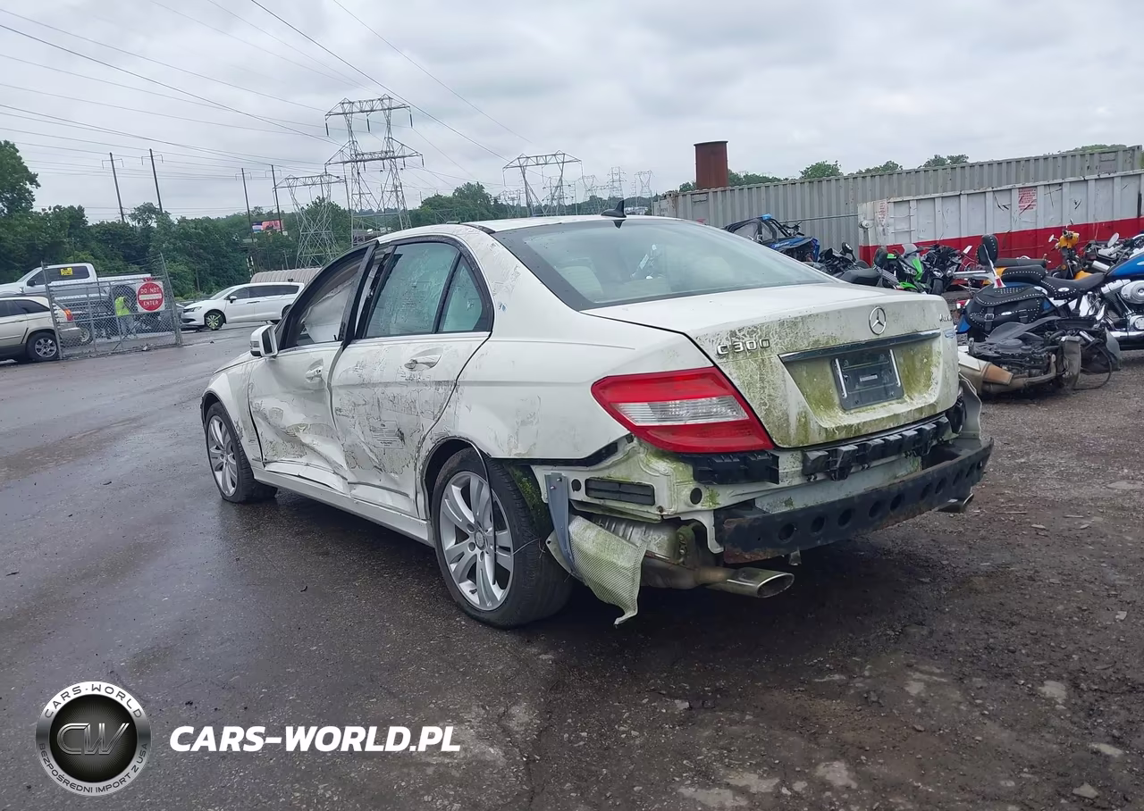 2010 Mercedes-Benz C 300 Luxury 4Matic VIN:WDDGF8BB9AF458263 - 6