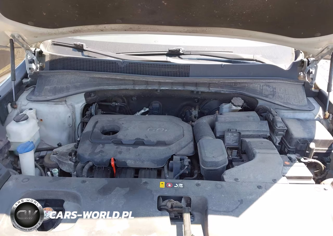 2016 Kia Sorento 2.4L Lx VIN:5XYPGDA32GG019714 - 10