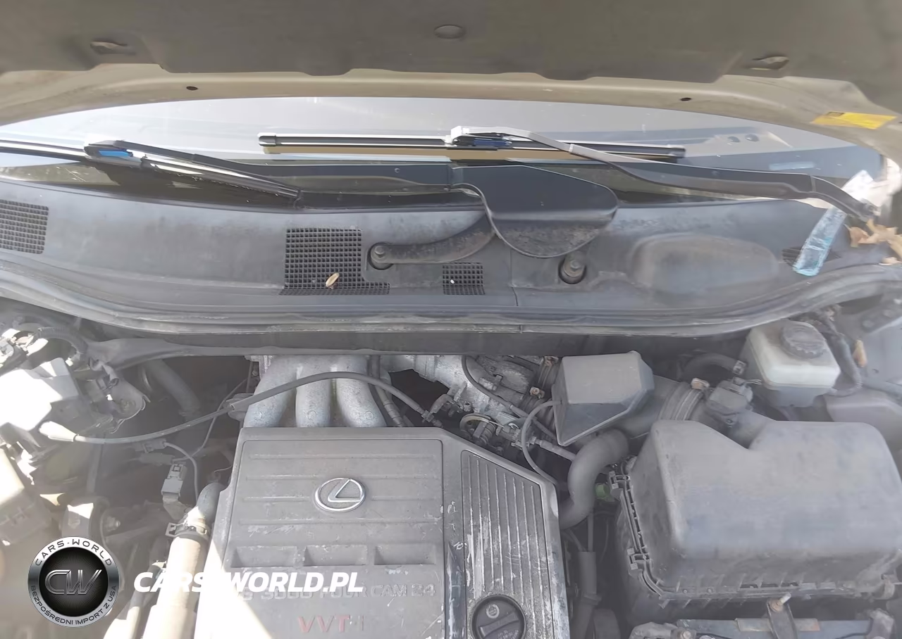 2003 Lexus Rx 300 VIN:JTJHF10UX30308787 - 10