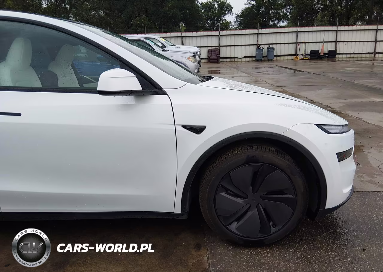 2026 Tesla Model Y Premium Rear-Wheel Drive-Rear-Wheel Drive VIN:7SAYGDED8TA659791 - 21