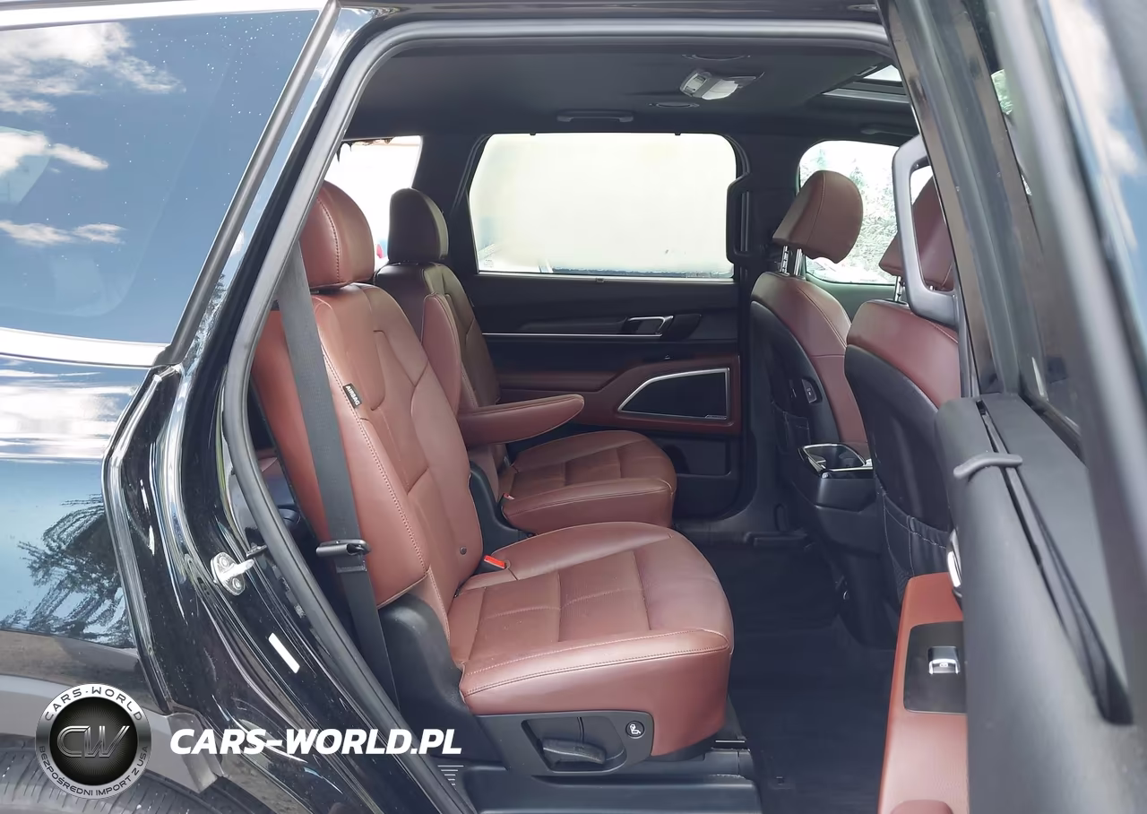 2024 Kia Telluride Ex VIN:5XYP3DGC8RG485850 - 14