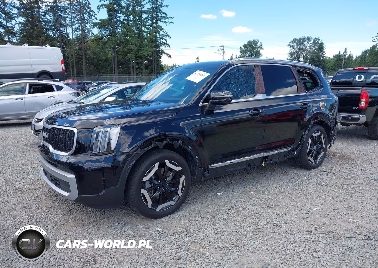 2024 Kia Telluride Ex VIN:5XYP3DGC8RG485850 - 2