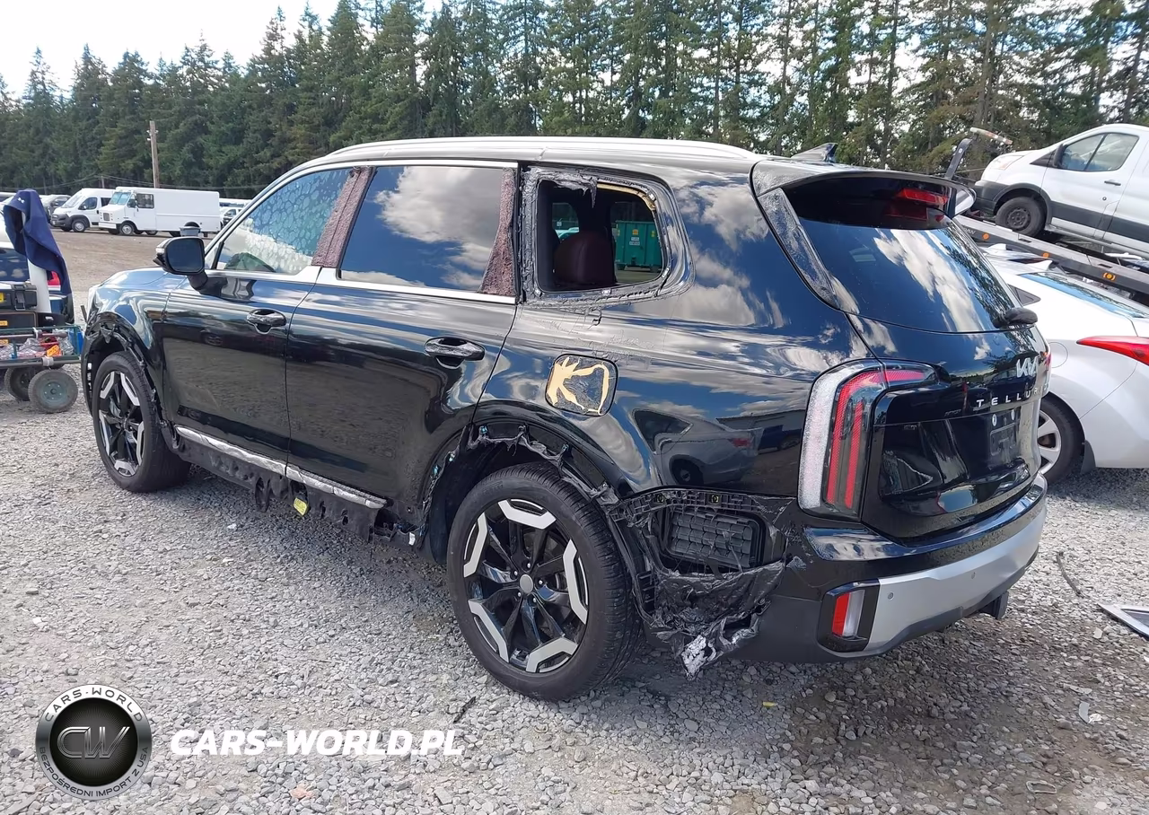 2024 Kia Telluride Ex VIN:5XYP3DGC8RG485850 - 3