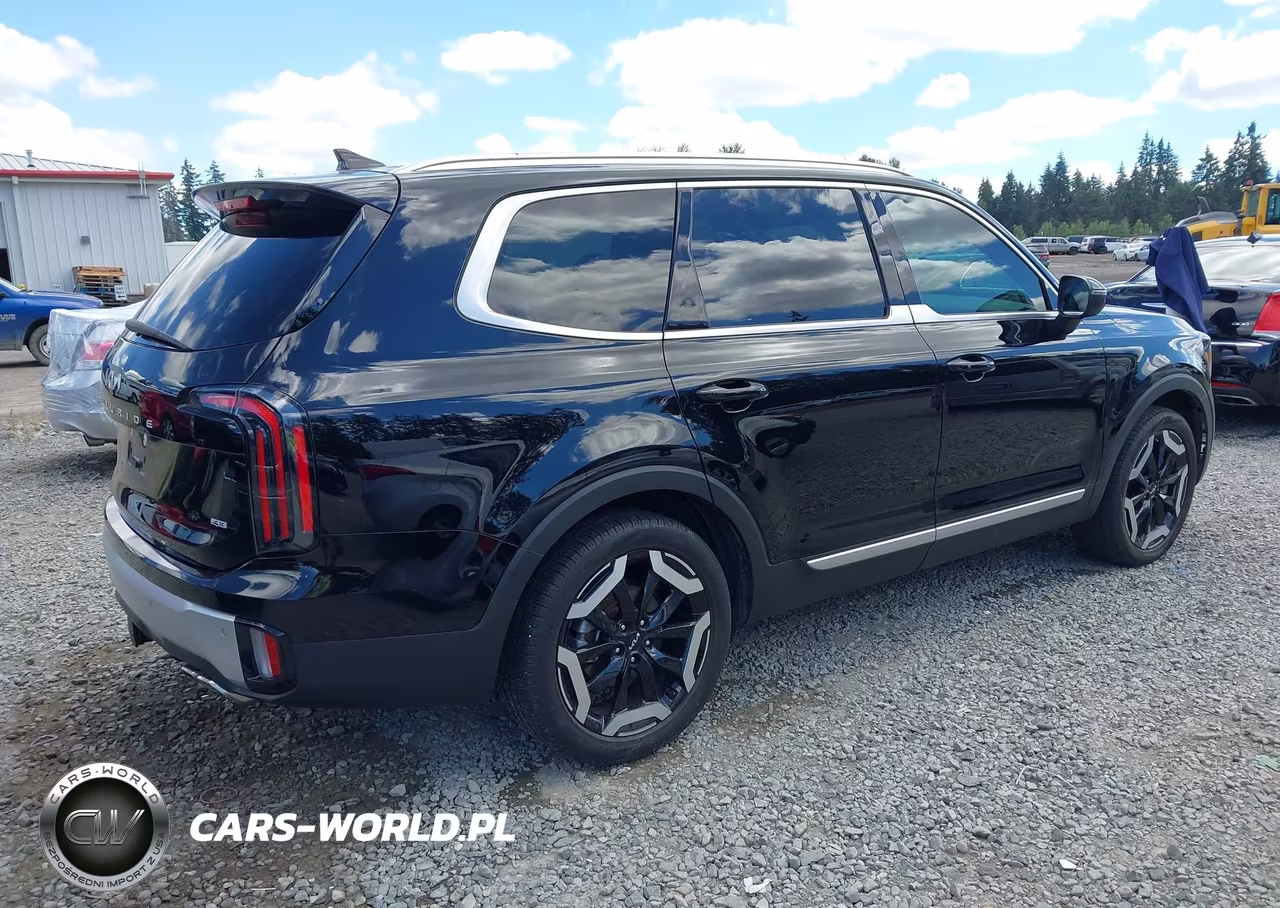 2024 Kia Telluride Ex VIN:5XYP3DGC8RG485850 - 4