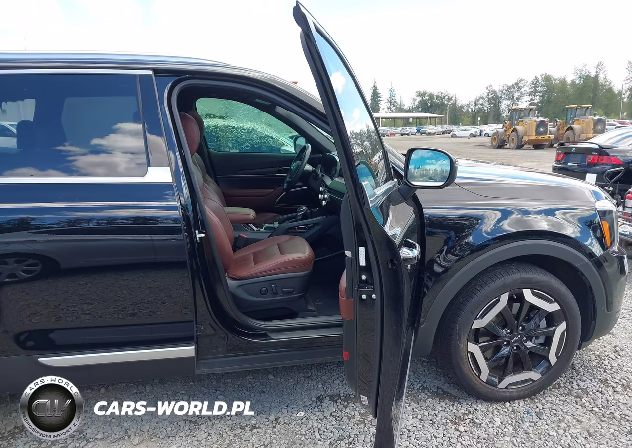 2024 Kia Telluride Ex VIN:5XYP3DGC8RG485850 - 5