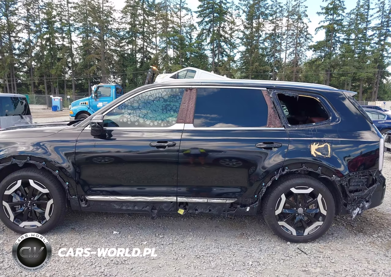 2024 Kia Telluride Ex VIN:5XYP3DGC8RG485850 - 6