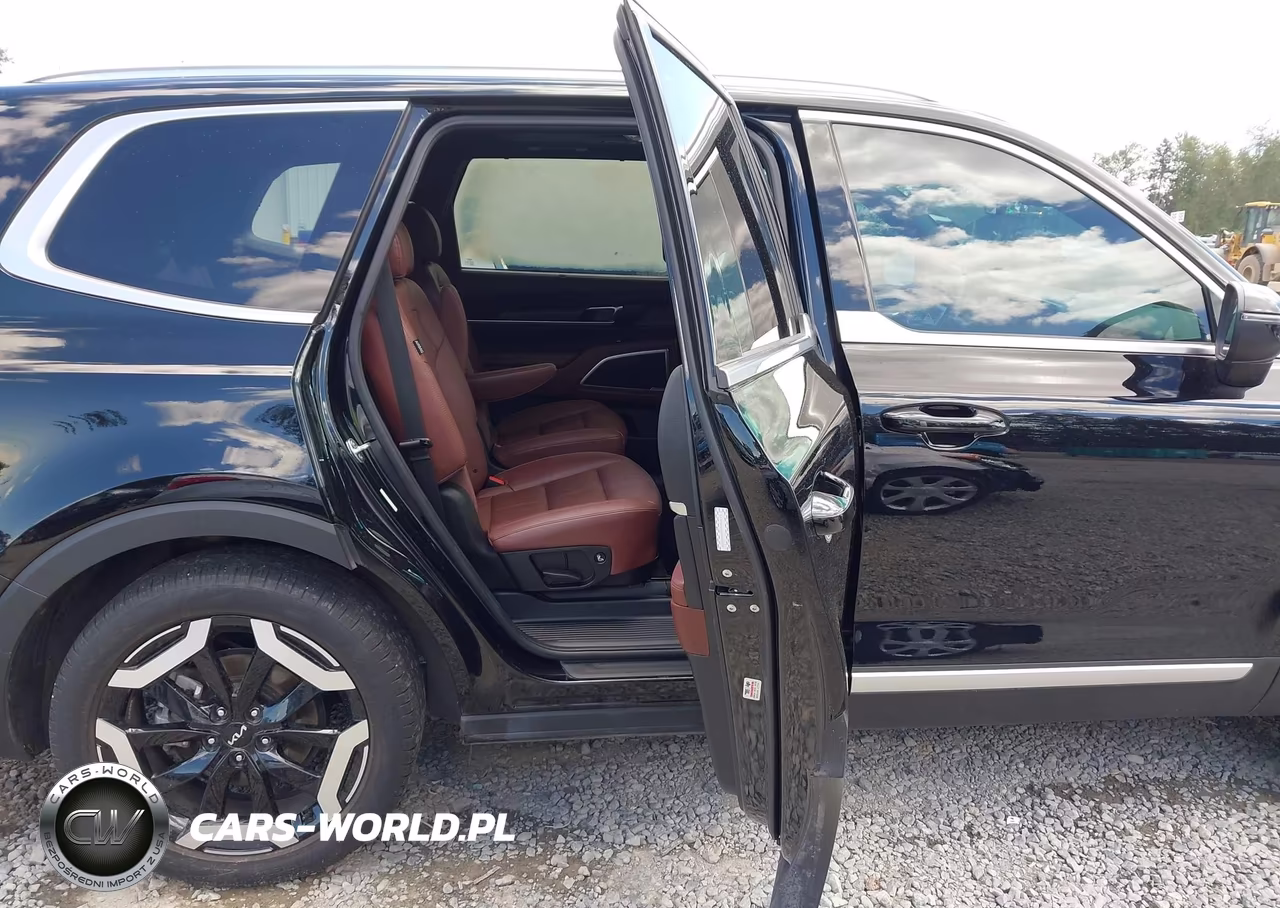 2024 Kia Telluride Ex VIN:5XYP3DGC8RG485850 - 8
