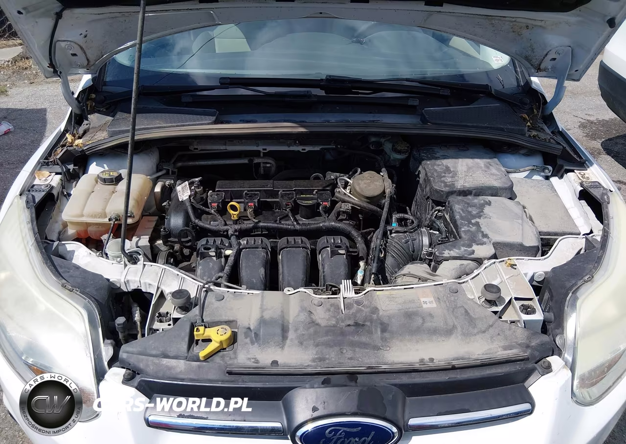 2014 Ford Focus Se VIN:1FADP3K28EL197122 - 10