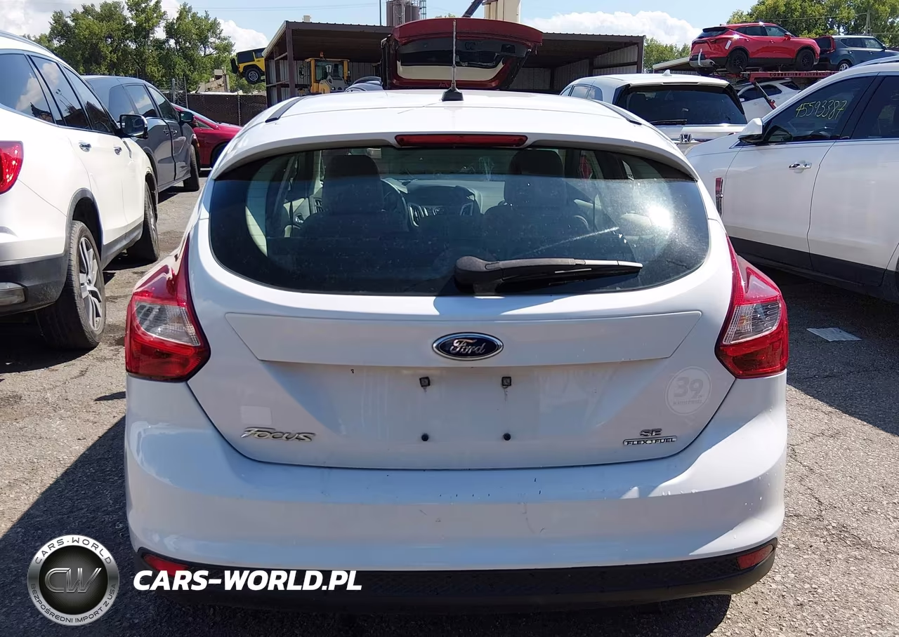 2014 Ford Focus Se VIN:1FADP3K28EL197122 - 16