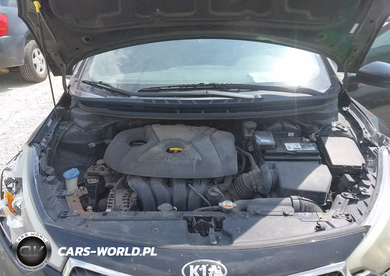 2016 Kia Forte Lx VIN:KNAFK4A6XG5523857 - 10