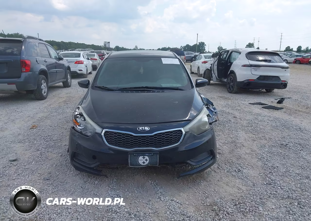 2016 Kia Forte Lx VIN:KNAFK4A6XG5523857 - 12