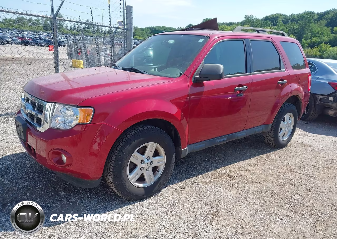 2011 Ford Escape Xlt VIN:1FMCU0D73BKA43369 - 2