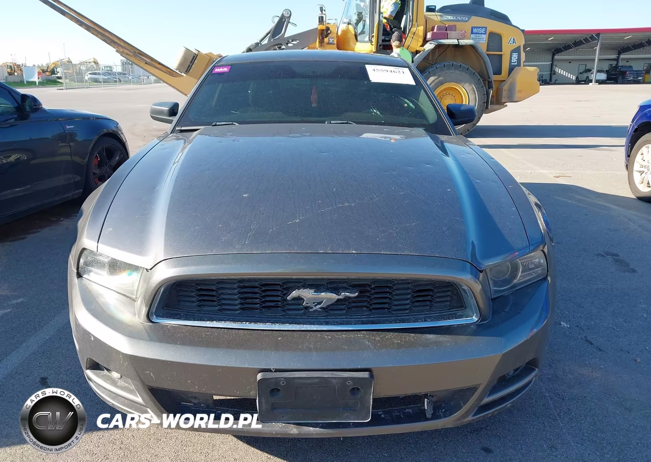 2014 Ford Mustang V6 VIN:1ZVBP8AM9E5254849 - 12
