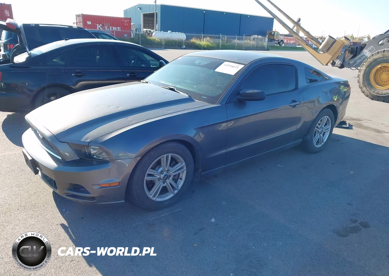 2014 Ford Mustang V6 VIN:1ZVBP8AM9E5254849 - 2