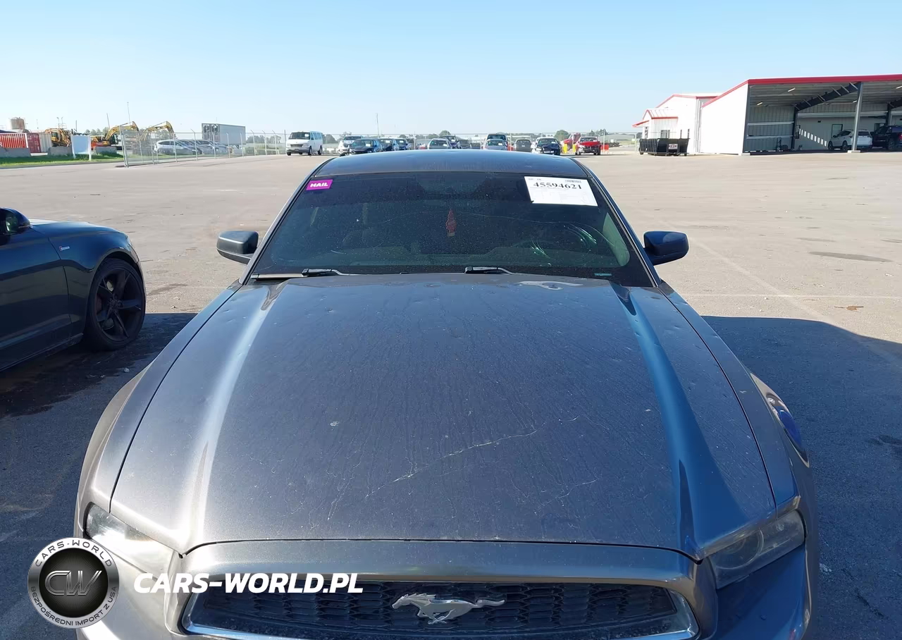 2014 Ford Mustang V6 VIN:1ZVBP8AM9E5254849 - 6
