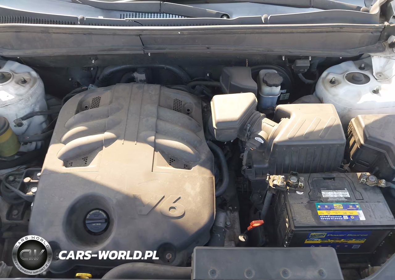 2009 Hyundai Santa Fe Limited VIN:5NMSH13E09H319930 - 10