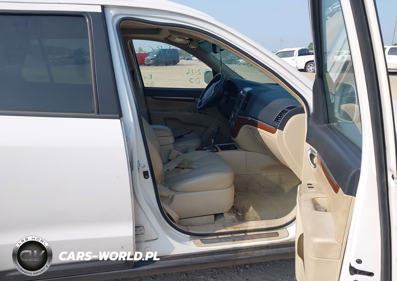2009 Hyundai Santa Fe Limited VIN:5NMSH13E09H319930 - 5