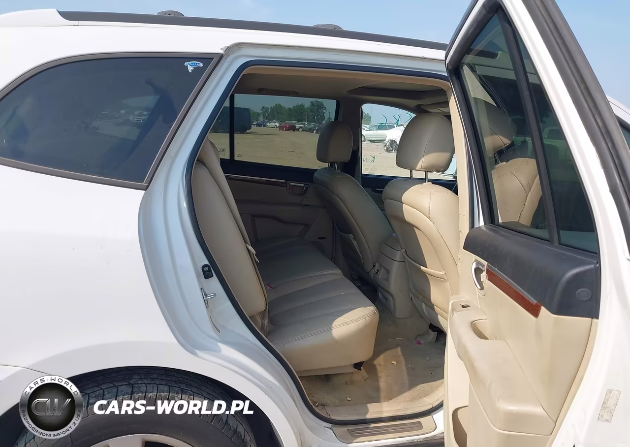 2009 Hyundai Santa Fe Limited VIN:5NMSH13E09H319930 - 8