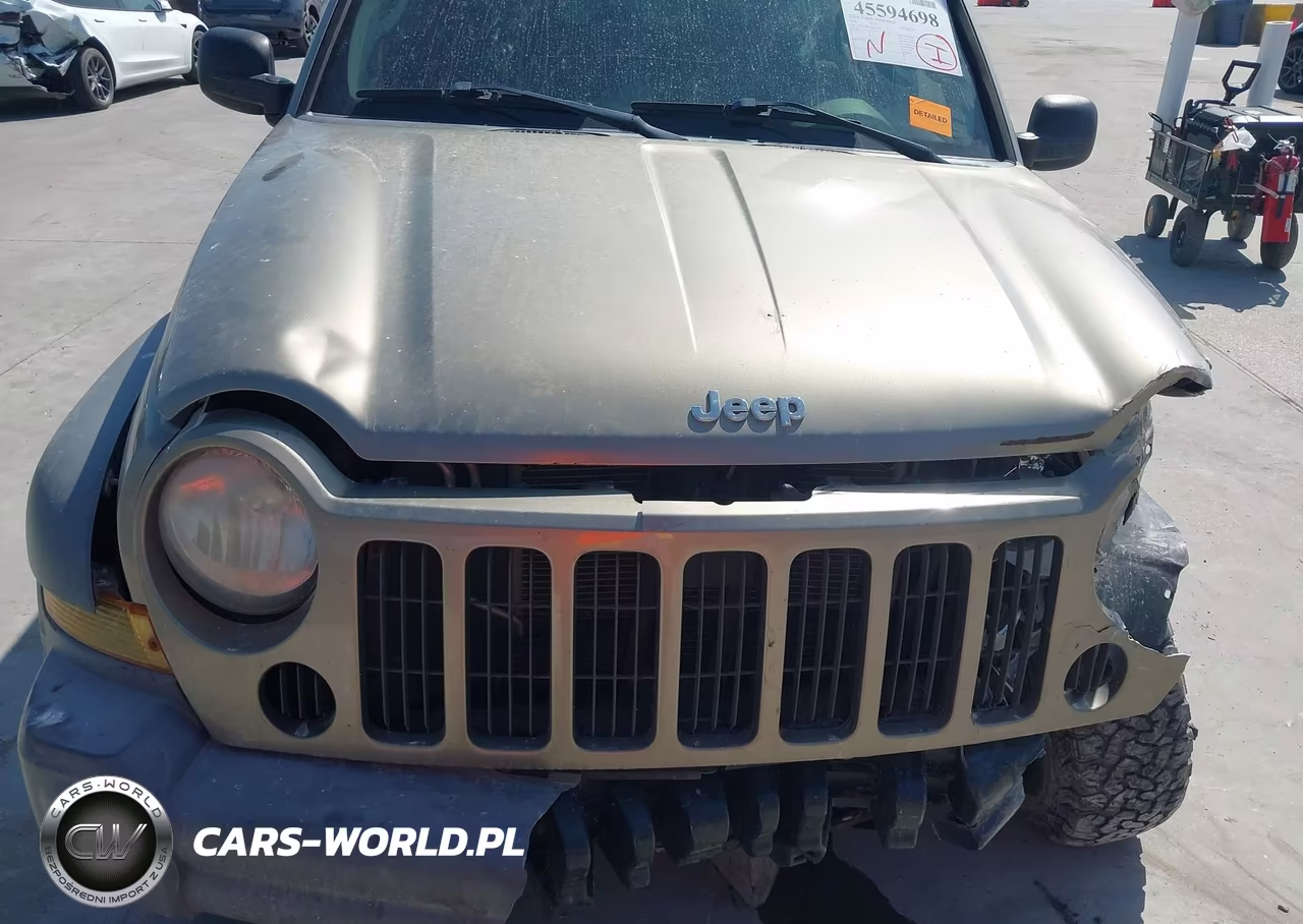 2006 Jeep Liberty Sport VIN:1J4GL48K36W107885 - 19
