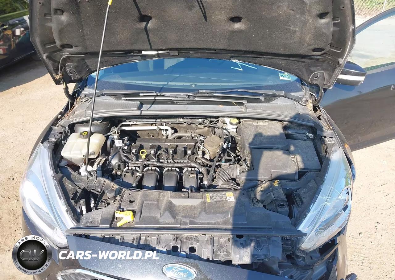 2015 Ford Focus Se VIN:1FADP3F2XFL365094 - 10
