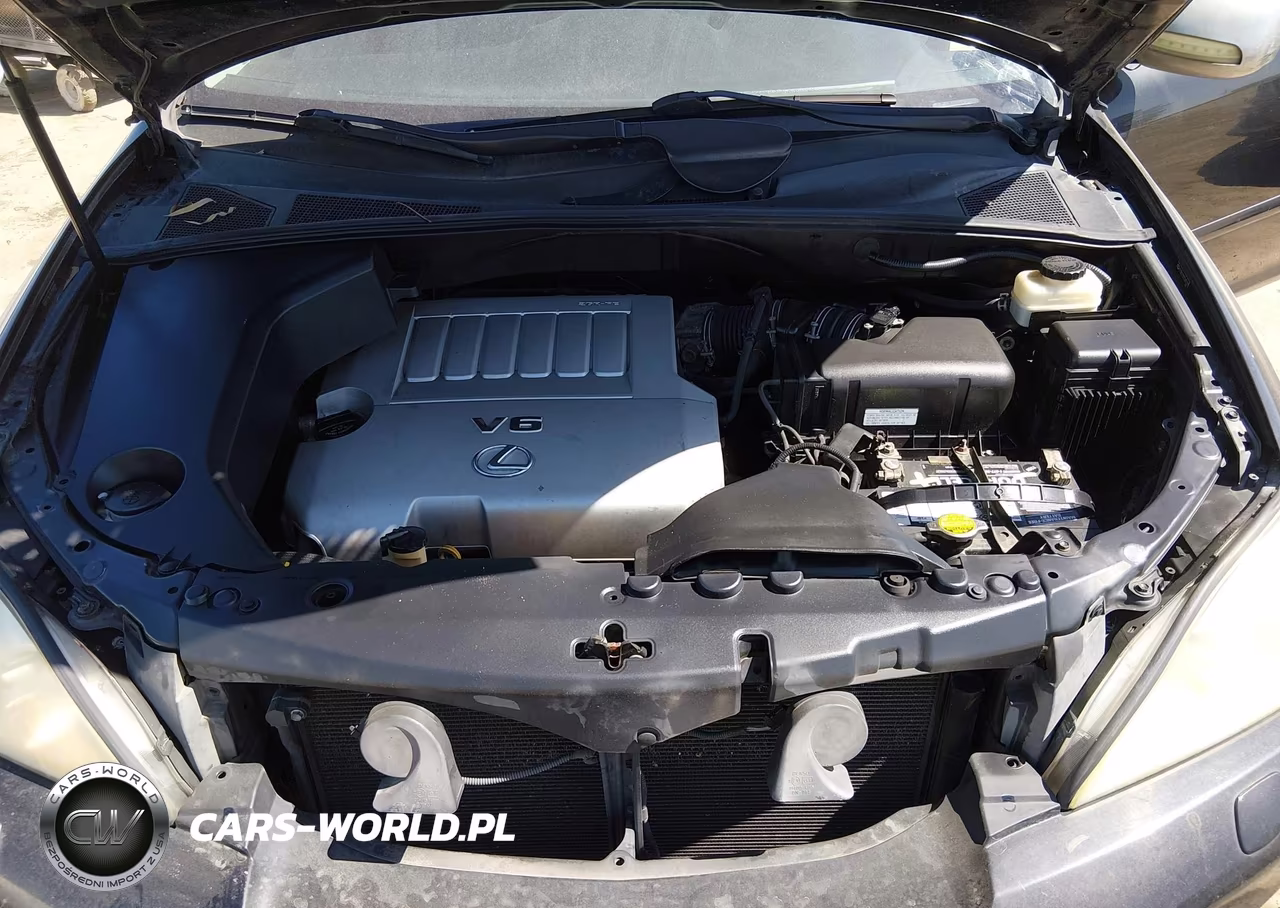 2007 Lexus Rx 350 VIN:2T2GK31U07C005321 - 10