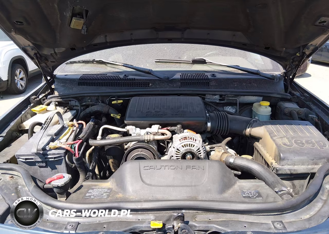 2001 Jeep Grand Cherokee Limited VIN:1J4GW58N21C731243 - 10