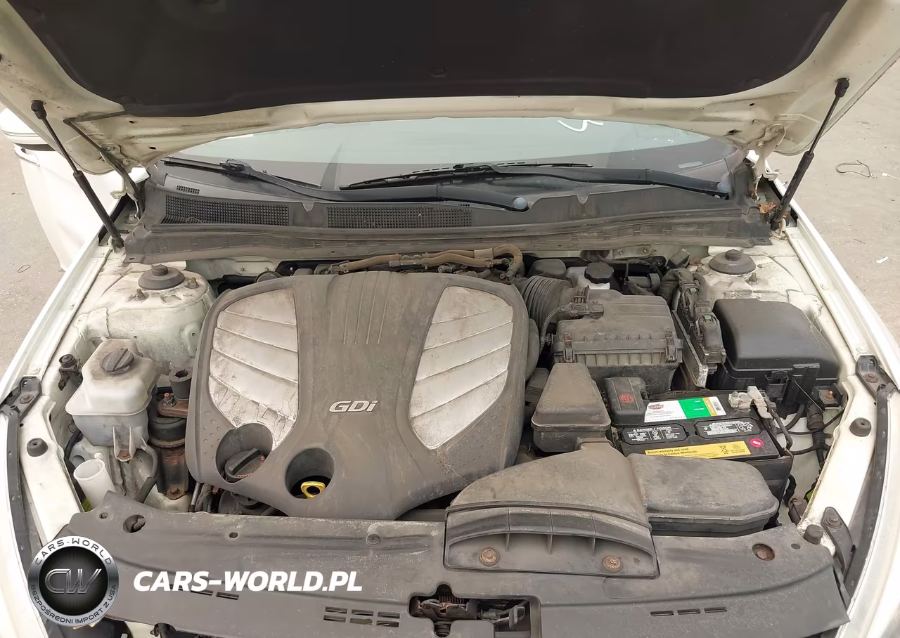 2014 Kia Cadenza Premium VIN:KNALN4D70E5127206 - 10