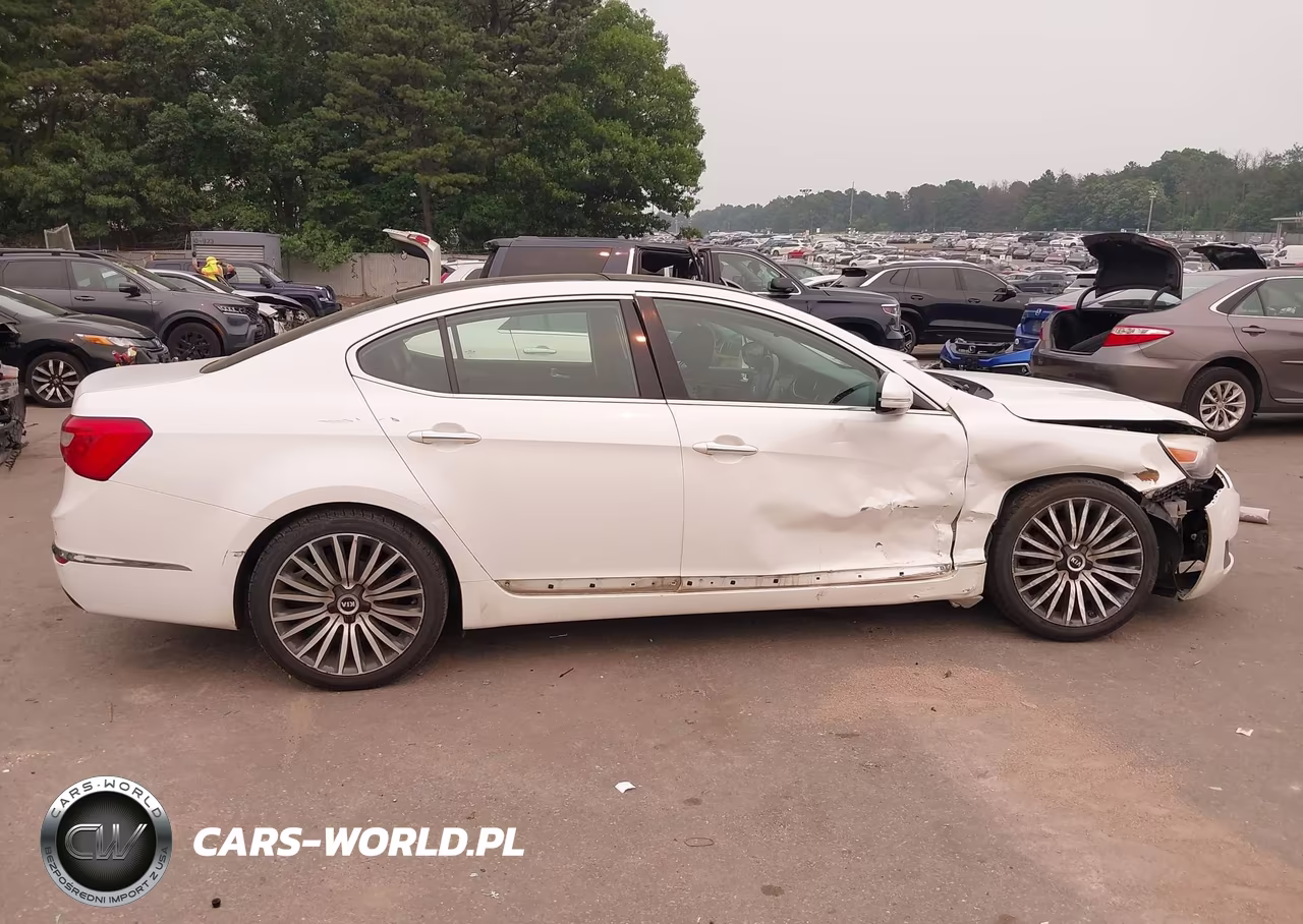 2014 Kia Cadenza Premium VIN:KNALN4D70E5127206 - 13