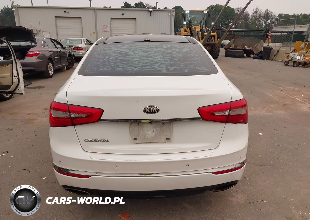 2014 Kia Cadenza Premium VIN:KNALN4D70E5127206 - 16