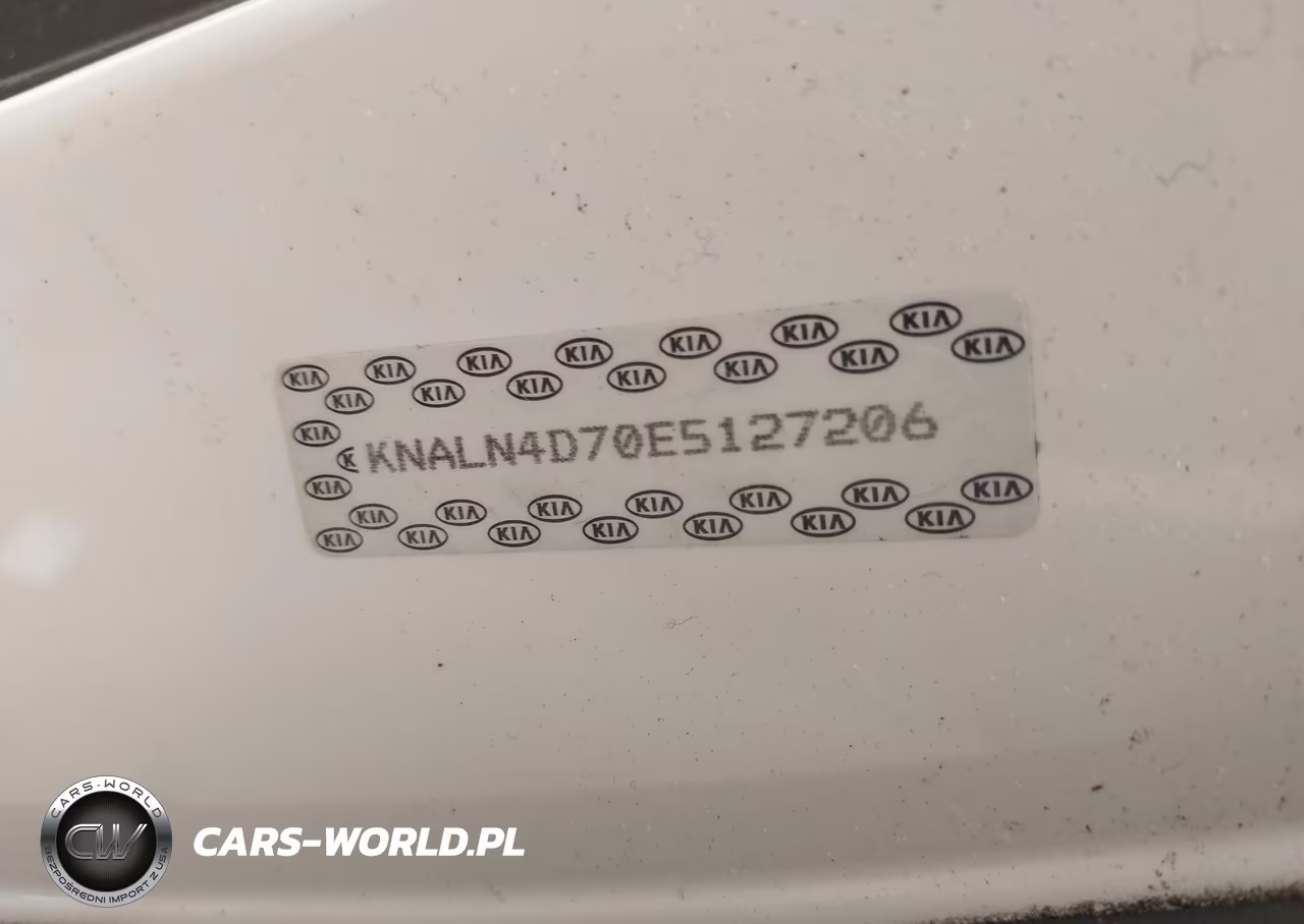 2014 Kia Cadenza Premium VIN:KNALN4D70E5127206 - 17