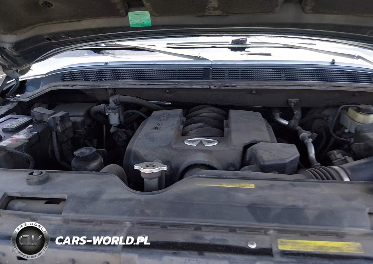 2005 Infiniti Qx56 VIN:5N3AA08A25N808426 - 10