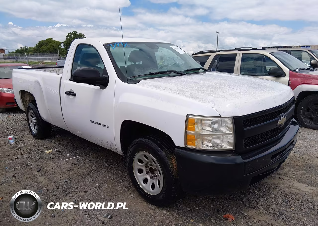 2010 Chevrolet Silverado 1500 Work Truck
