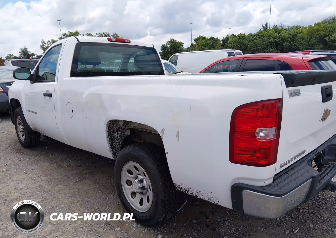 2010 Chevrolet Silverado 1500 Work Truck VIN:1GCPCPEX8AZ194262 - 13