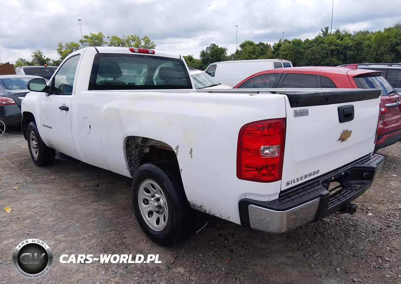 2010 Chevrolet Silverado 1500 Work Truck VIN:1GCPCPEX8AZ194262 - 3